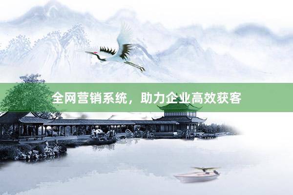 全网营销系统，助力企业高效获客