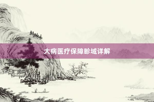 大病医疗保障畛域详解