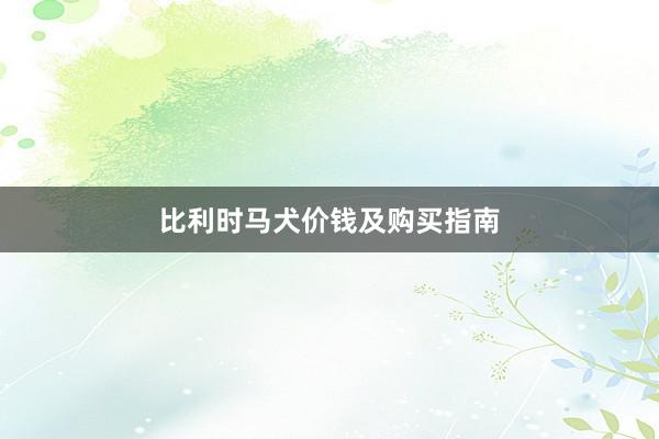 比利时马犬价钱及购买指南