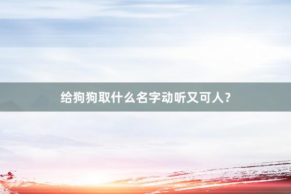 给狗狗取什么名字动听又可人？
